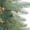 9ft. Pre-Lit Washington Frasier Fir Artificial Christmas Tree, Clear Lights